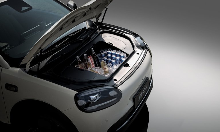 Smart Powered Frunk