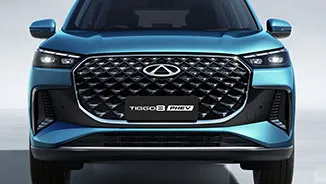 Tiger-Inspired Signature Grille